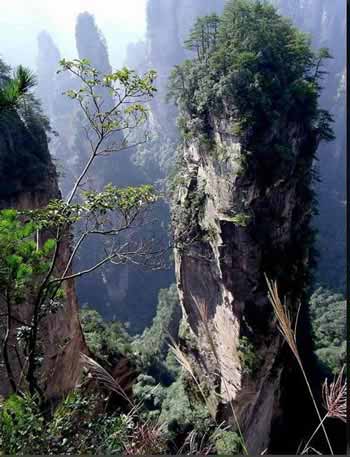 長沙出發(fā)到張家界溶洞奇觀黃龍洞、國家森林公園、袁家界、峰林之王天子山三日游（早班）