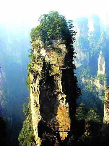 張家界國(guó)家地質(zhì)森林公園、黃石寨、金鞭溪休閑一日游